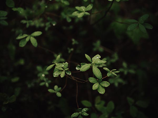 Quam Nulla Porttitor Massa Dneque Aliquam Vestibulum ben karpinski ur pnorurpk unsplash