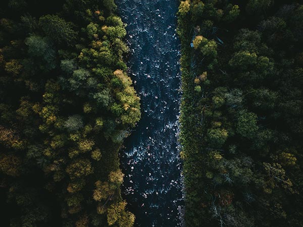 Egestas Egestas Fringilla Phasellus Faucibus Scelerisque tom ohlin fexfdfmxnmu unsplash